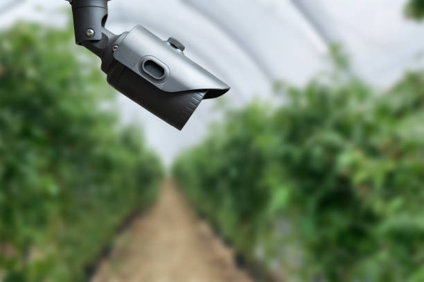 istock Robotic and CCTV Camera on Smart Green House . 1493742443
