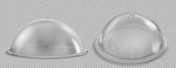 Vector illustration of Realistic set of closed glass cloche trays