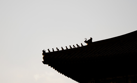 Ancient china architecture Imperial roof decoration silhouette