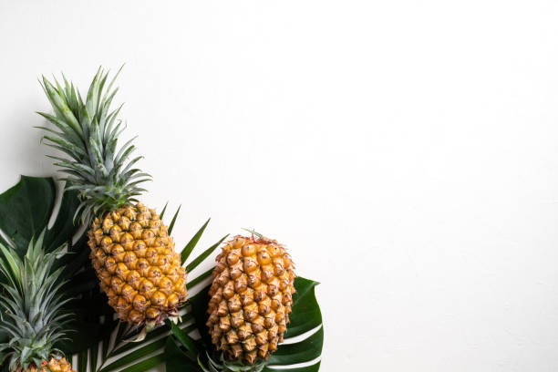 Top view of fresh pineapple with tropical monstera leaves on white background.