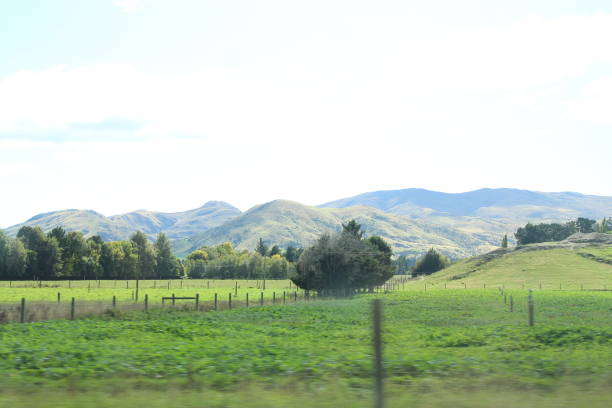 landscapes and views in Otago region, South Island