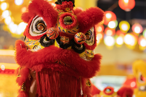 Performers mimic a lion's movements in a lion costume to bring good luck and fortune in Chinese New Year.