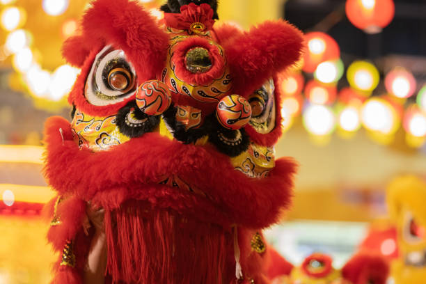 Lion Dance Performers mimic a lion's movements in a lion costume to bring good luck and fortune in Chinese New Year. indochina stock pictures, royalty-free photos & images
