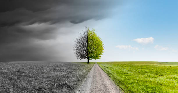 istock Path through a gray and a green landscape 1493759124