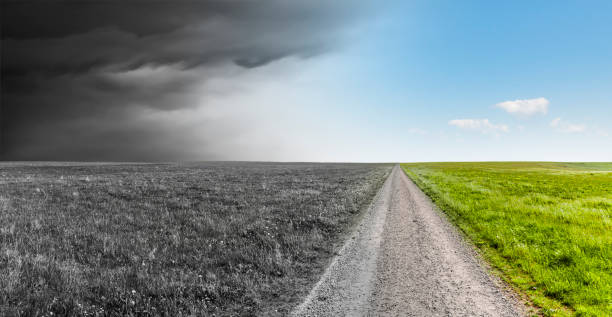 istock Path through a gray and a green landscape 1493759185