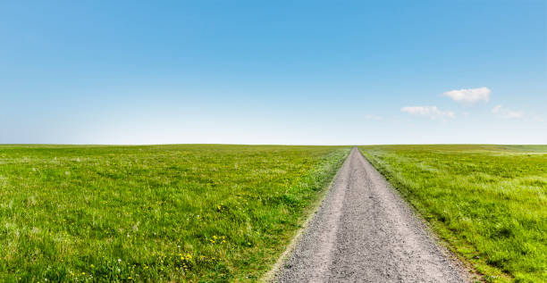 le chemin vers l’horizon - road the way forward panoramic scenics photos et images de collection