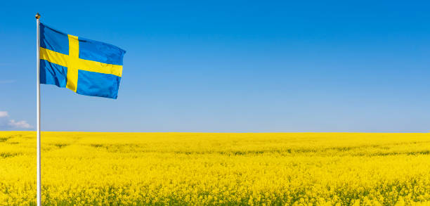 istock Swedish flag and blue sky 1493759264