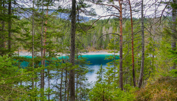 Green Forest in front of blue Lake
