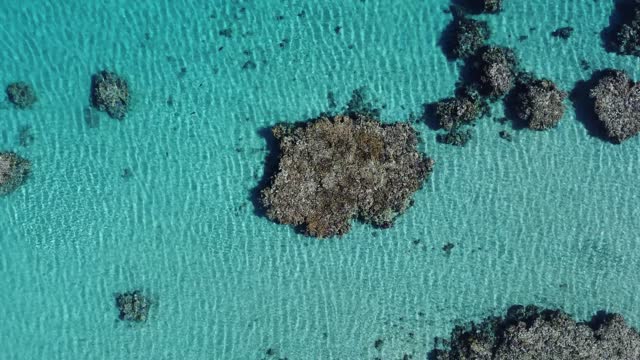 Drone video of blue water and coral at hadar beach on the Red Sea in Saudi Arabia.