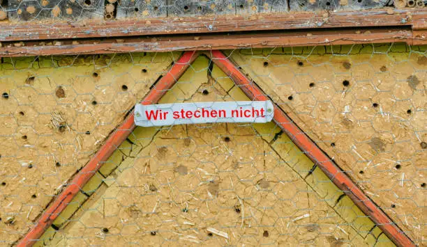 Protection of Animals Insect Hotels