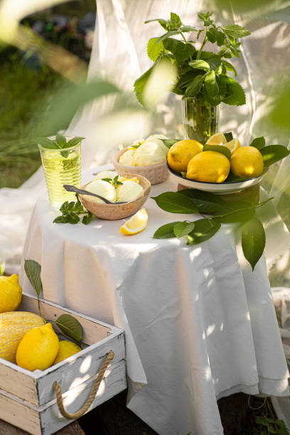istock Italian Toscana style table setting with ice cream and lemons. 1493769203