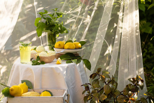 istock Italian Toscana style table setting with ice cream and lemons. 1493769254