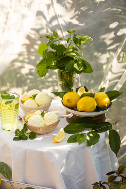 Vintage table setting with Linen napkins and yellow lemons. Decoration table. Close up. Cozy calm meal in the morning in the sunshine.