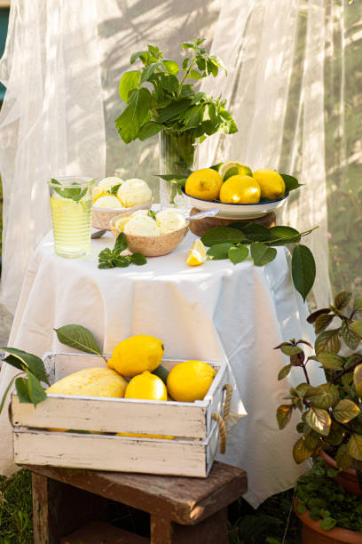 istock Italian Toscana style table setting with ice cream and lemons. 1493770118