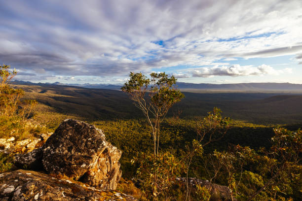The view from Reeds Lookout and fire tower at sunset in the Grampians, Victoria, Australia