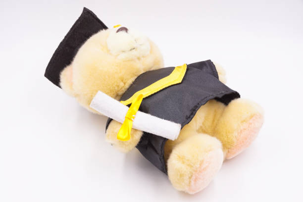 istock Graduation teddy bear soft toy 1493771039