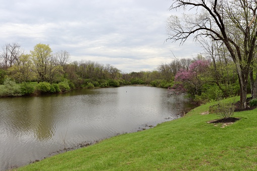 The peaceful pond in the country on a cloudy spring day.