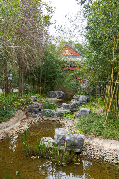 istock Beautiful garden plants and scenery 1493777967