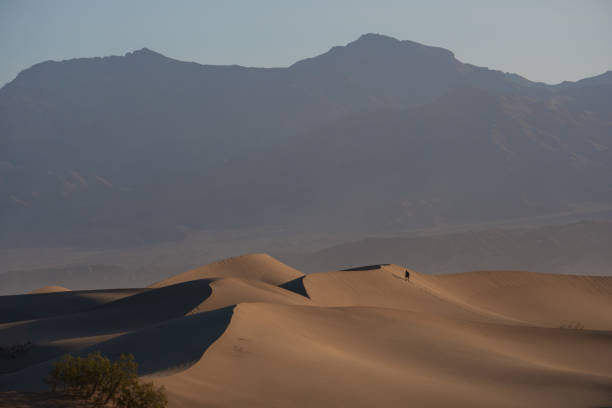 istock Man climbing a sand dunes at sunrise 1493785800