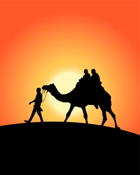 istock People traveling on camel, evening view in desert. Camel and cameleer vector. 1493787085