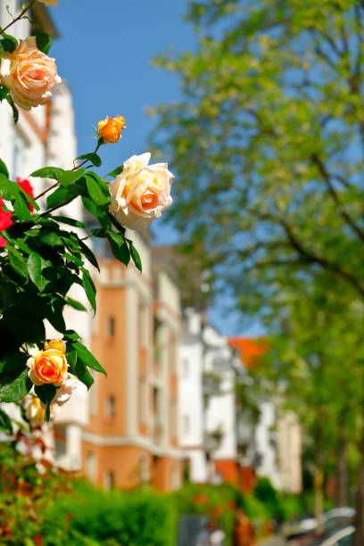 Street with residential buildings from the end of the 19th century in Cologne Klettenberg.