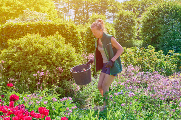 Woman working in garden trying to keep the weed away from the flowers