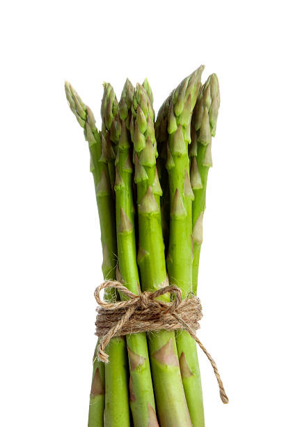 istock closeup of asparagus tied 149379123