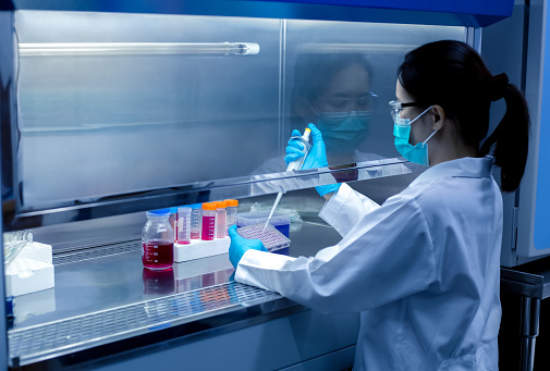 Scientist used a micro pipette in sample preparation in laboratory fume hood for bioassay of in vitro cells on a microplate, 96 well in the laboratory.