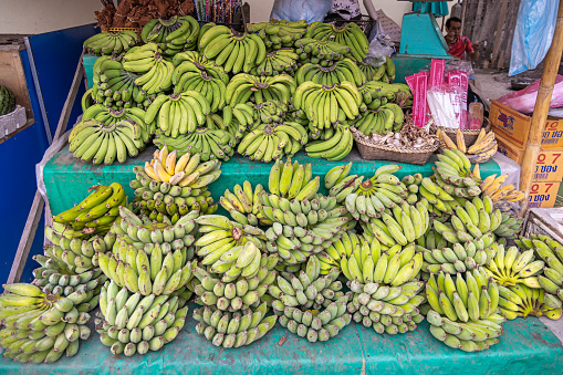 Fresh bananas at the morning food market in Luang Prabang which used to be the capital on Laos