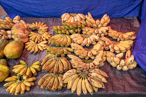 Fresh bananas at the morning food market in Luang Prabang which used to be the capital on Laos