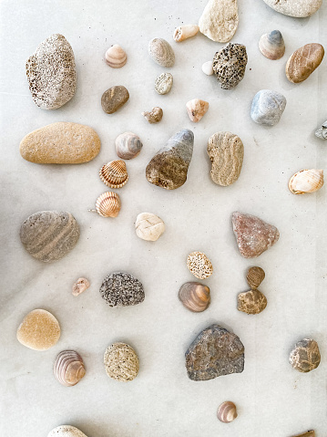 Marble background with fossils, stones and sea shells