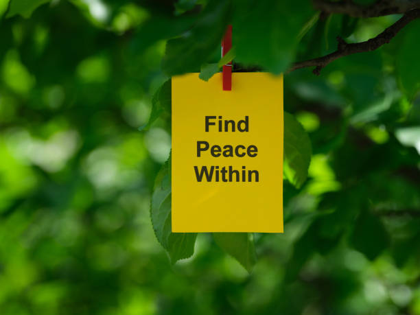 istock A yellow paper note with the phrase Find Peace Within on it attached to a tree branch with a clothes pin 1493812067