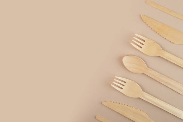istock Reusable eco tableware for zero waste events, Disposable wooden dishware for outdoor catering 1493812696