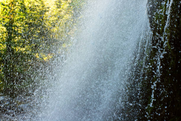 Powerful waterfall crashing down into a pool of crystal-clear water