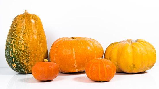 Group of beautiful pumpkins isolated on a white background. he concept of autumn fruits and Thanksgiving holiday. Copy space.