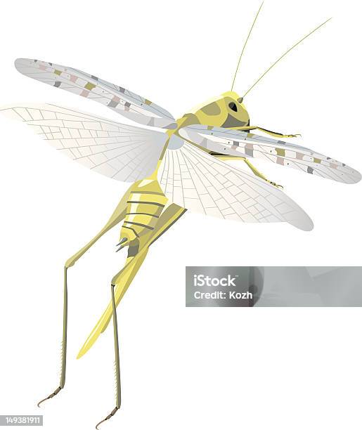 Locust Volante - Immagini vettoriali stock e altre immagini di Ala di animale - Ala di animale, Bolletta, Illustrazione