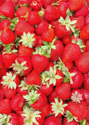 Red strawberries close-up. Juicy strawberries.