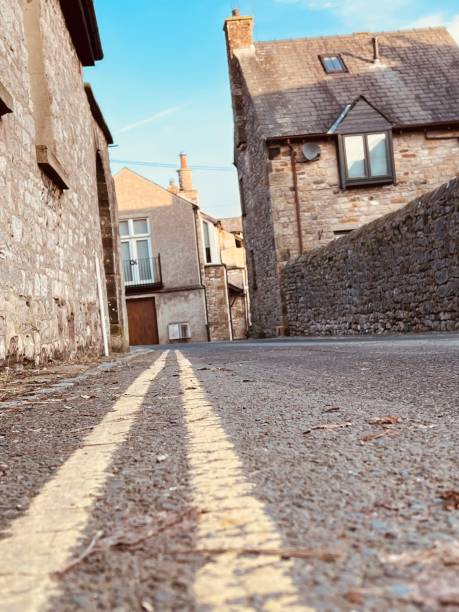 istock Surface level view of road markings 1493821416