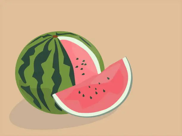 Vector illustration of illustration of very tasty and juicy watermelon