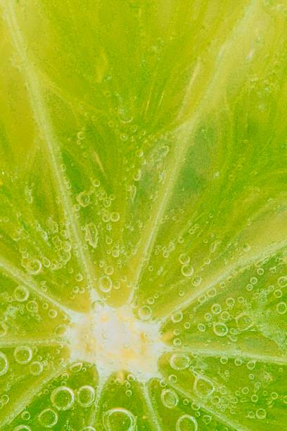 Close-up of a lime slice in liquid with bubbles. Slice of ripe lime in water. Close-up of fresh lime slice covered by bubbles. Macro vertical image. stock photo