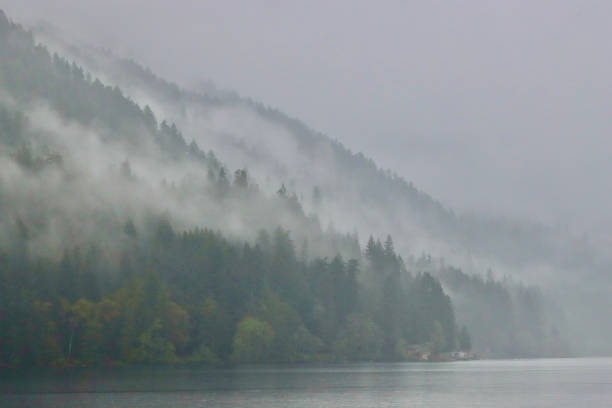 istock Heavy Fog On The Lake 1493824423