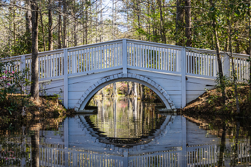 A small bridge over very still water in a forest or swamp like setting with a high degree of reflection on the water.