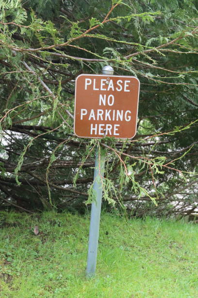 istock No Parking Sign Near The Forest 1493825656
