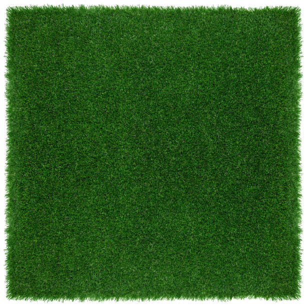 Meadow green grass surface. Turf blank top view background with clipping path. Template or Banner for gardening shop or online shopping, environmental concept
