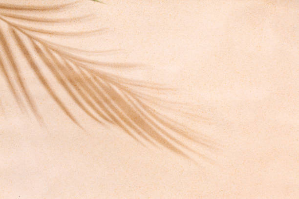 istock Beach sand with shadow of palm leaf - minimal background 1493828569