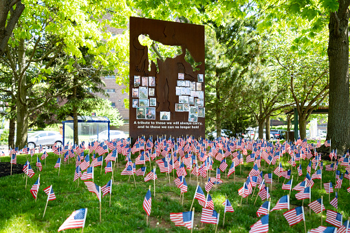 Unveiled on Memorial Day 2019 this monument brings awareness to PTSD, This image was taken on May 27, 2023 12:18:24 at The Buffalo Naval & Military Park in Buffalo, NY USA.