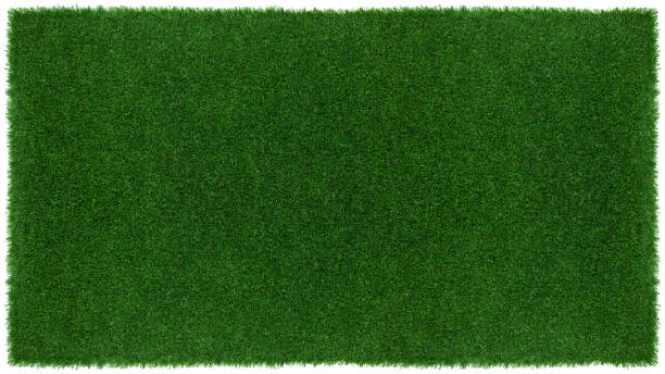 kuvapankkikuvat ja rojaltivapaat kuvat aiheesta niitty vihreä ruoho pinta. nurmikon tyhjä ylhäältä katsottu tausta leikkauspolulla. malli tai banneri puutarhakauppaan tai verkkokauppaan, ympäristökonsepti - nurmi