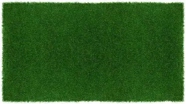 Photo of Meadow green grass surface. Turf blank top view background with clipping path. Template or Banner for gardening shop or online shopping, environmental concept