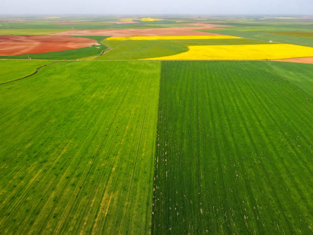 istock Agricultural fields in Villanueva de los Caballeros 1493830301