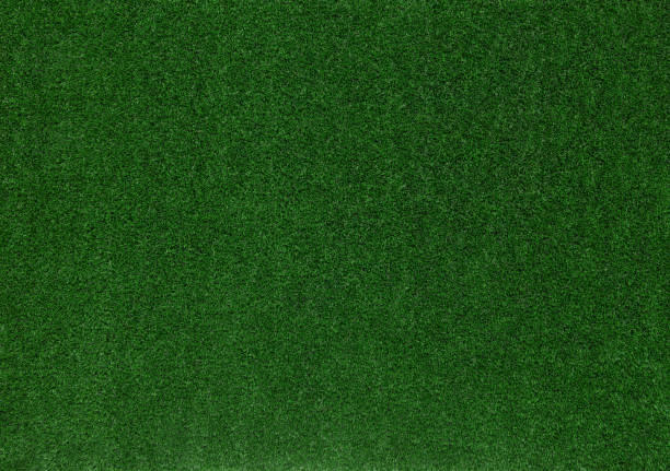 Meadow green grass surface. Turf blank top view background. Template or Banner for gardening shop or online shopping, environmental concept
